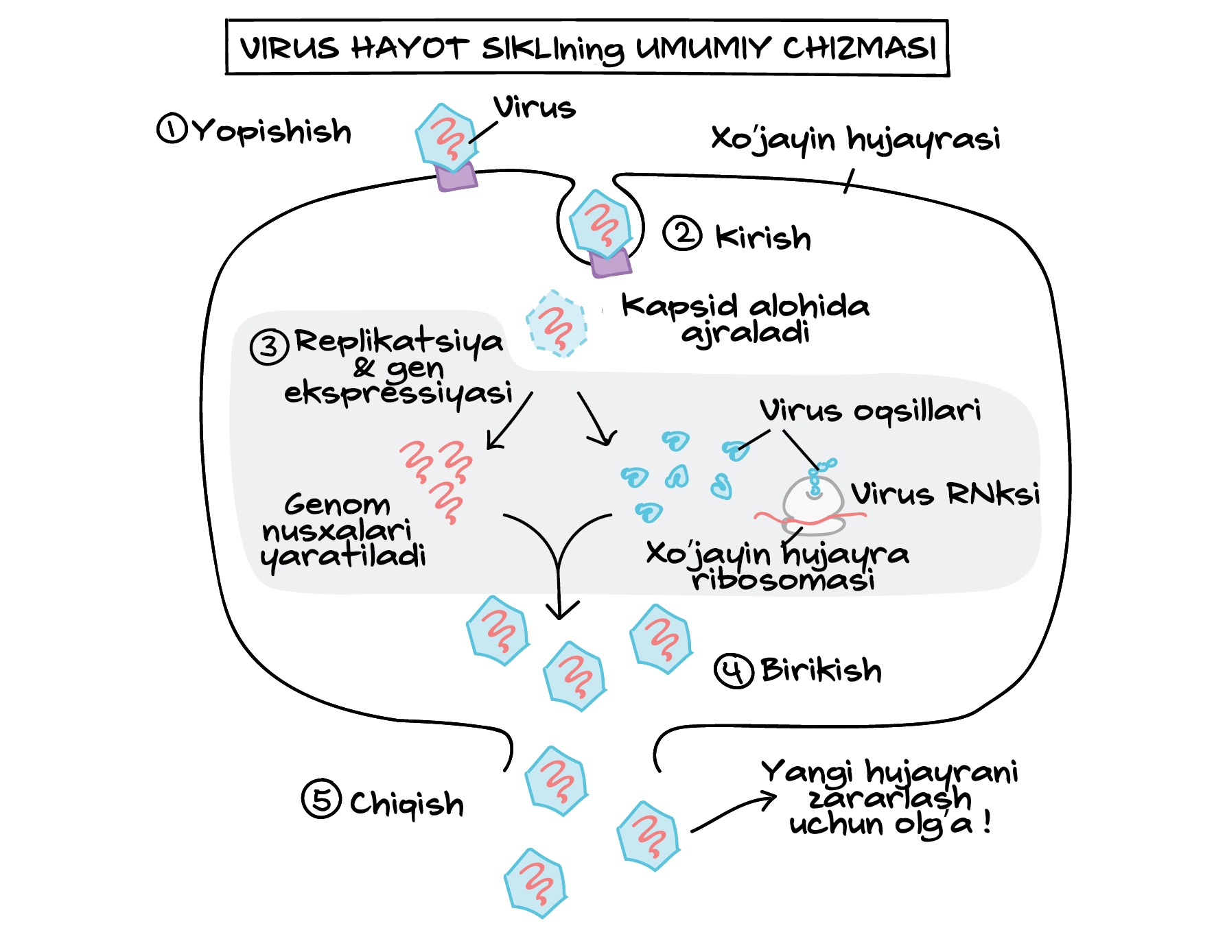Uzoq vaqt davomida kraxmalli vagina