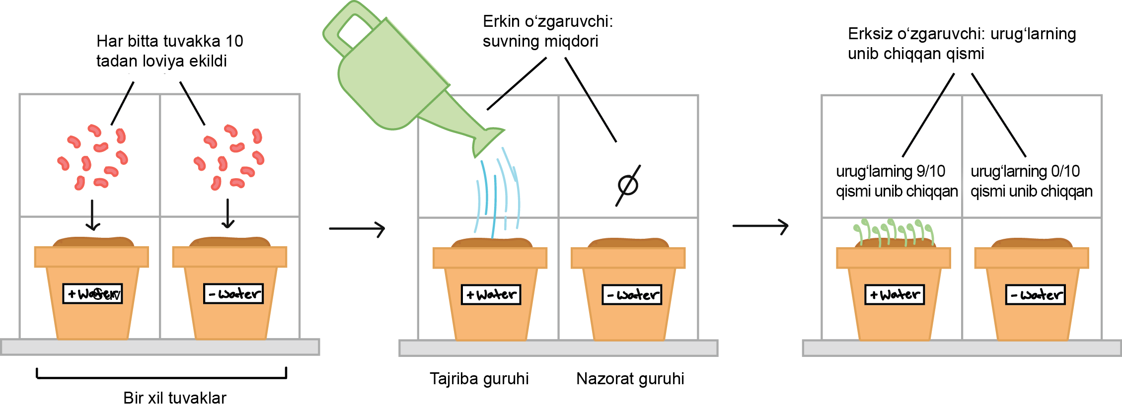 Retro jinsiy aloqa porno videolar Nopok taklif porno surat