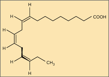 trans fatty acid diagram