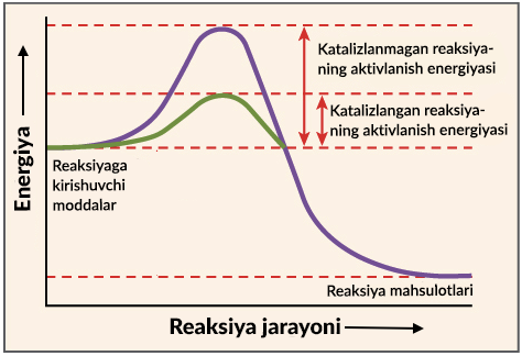 Yosh yigitlar etuk ayollarni sikishadi Butt erotik rasmlar