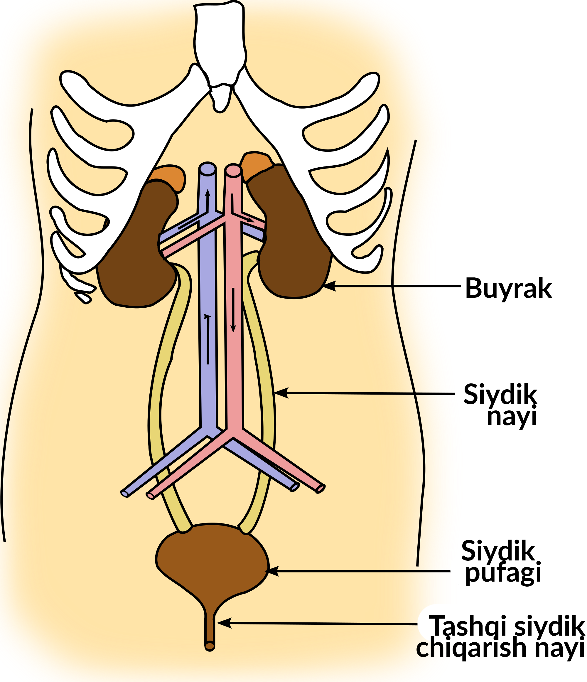 Semenovichning guruhbozlik qilishini bepul tomosha qiling.