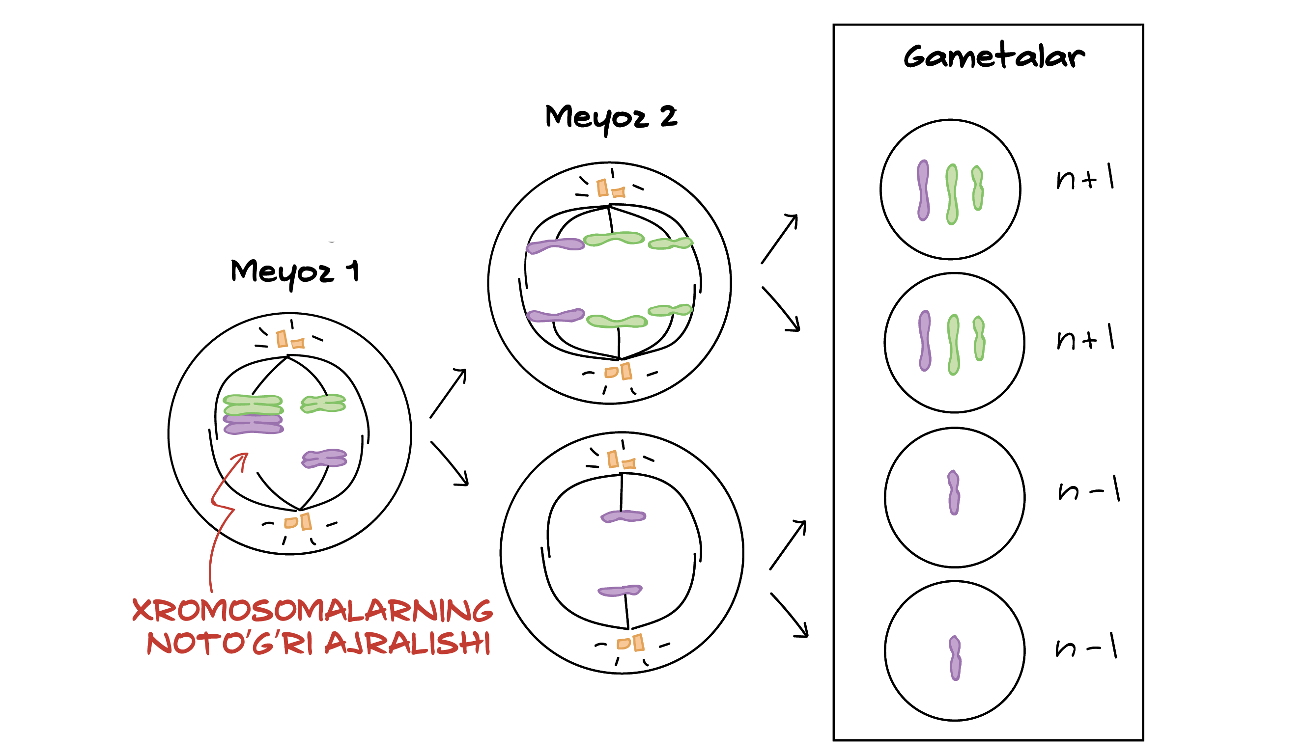 Retro kovboy porno onlayn Panties, taytlar, yubkalar, havaskor jinsiy aloqa