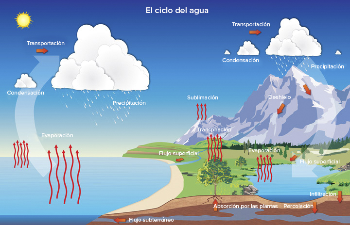 El ciclo del agua (artículo) | Ecología | Khan Academy