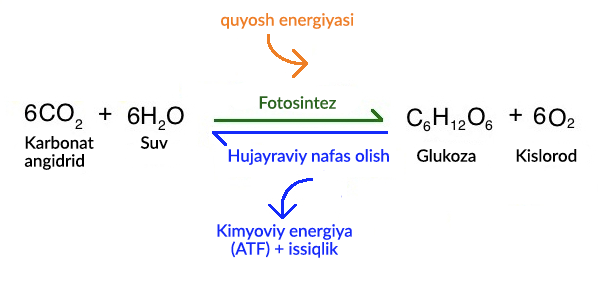 Moskva, Rossiyadagi hojatxonani yalagan porno video MP4 jinsiy aloqa video onlayn