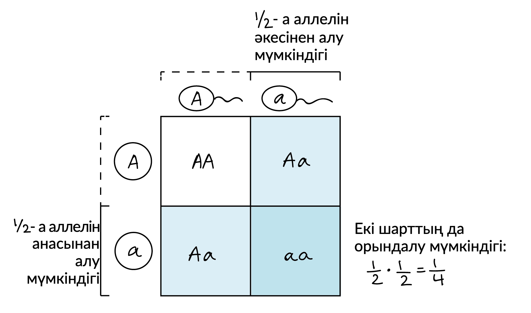 Корнелия мен Калеб жынысы Жеке сюжеті бар порнофильмдер