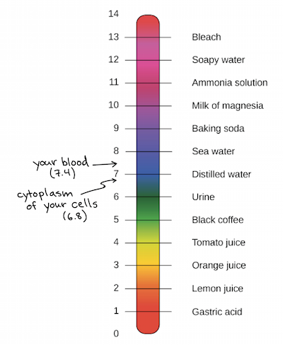 Simple Ph Scale