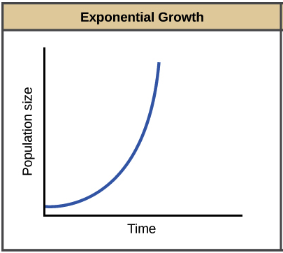 Which part of the graph shows an exponential growth of population?