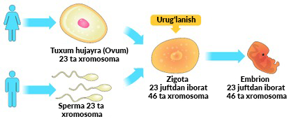 Yuliya Tixomirova bilan porno video