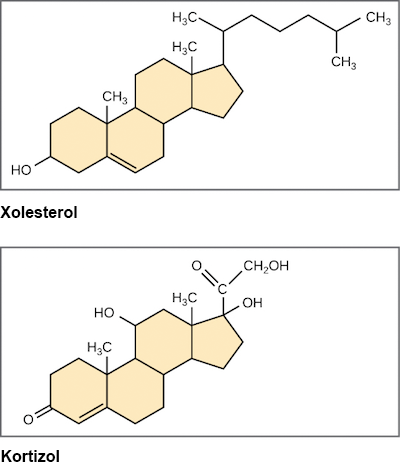 Xunuk pornografik fotosuratlar