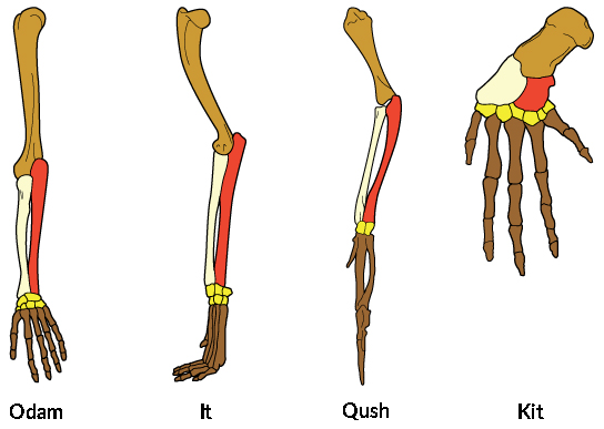 Yoshlar jinsiy aloqa qilishga harakat qilishadi Yangi rus swingers porno