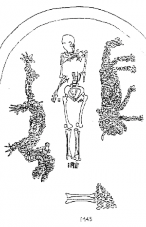 Representations of dragon and tiger, mosaic of river clam shells, c. 5300 B.C.E., royal grave no. 45, Xishuipo, Henan province (diagram:  Feng Shi, “Henan Puyang Xishuipo 45 Hao Mu de Tianwenxue Yanjiu,” Wenwu, vol. 3, pp. 52-69).