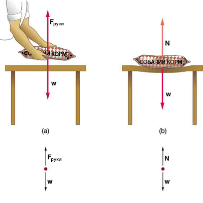 Что такое сила нормальной реакции? (статья) | Академия Хана