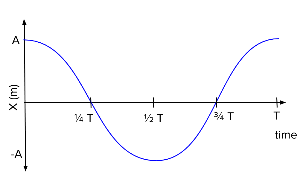 simple harmonic motion example