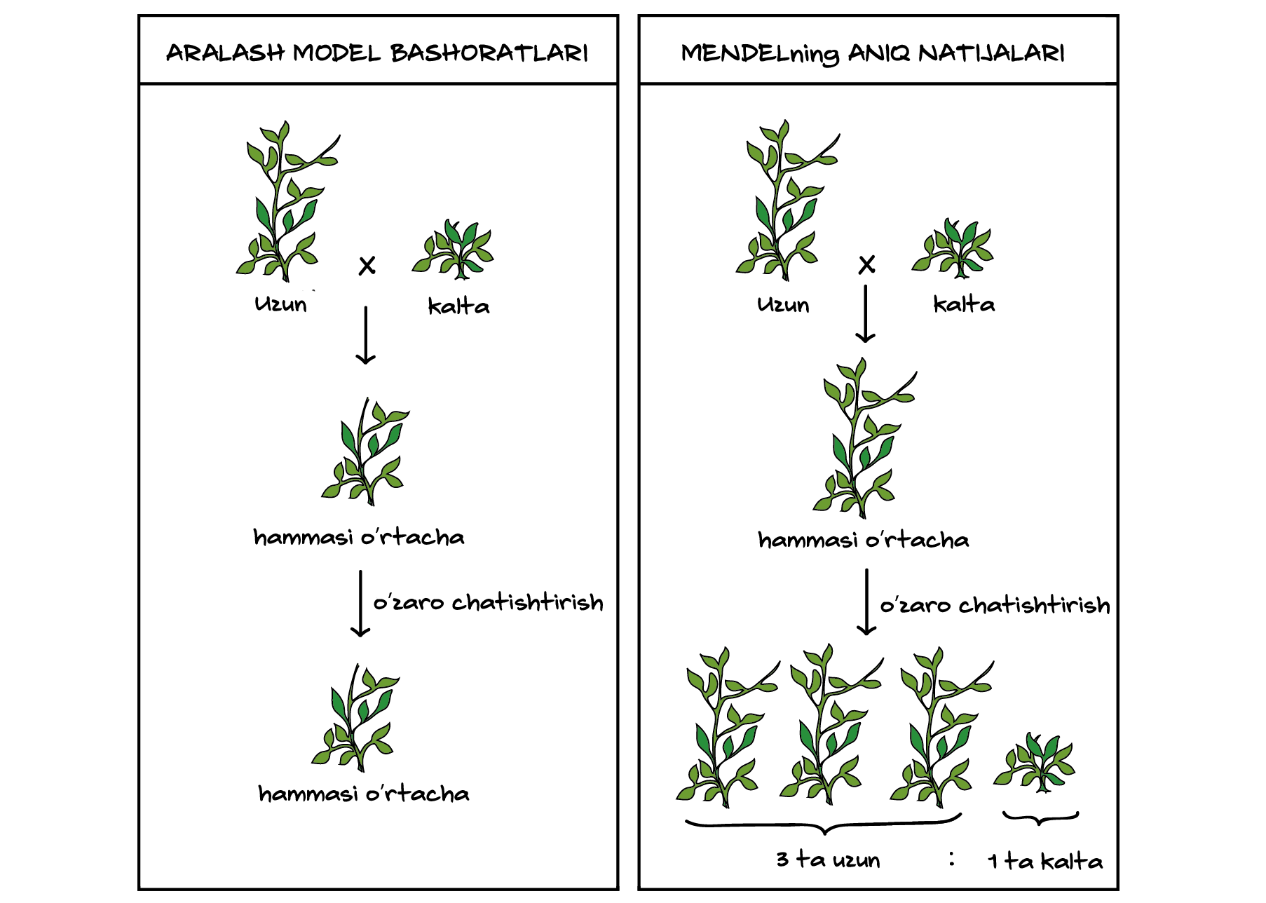 Onam uy qurilishi porno Olmaota shahvoniy