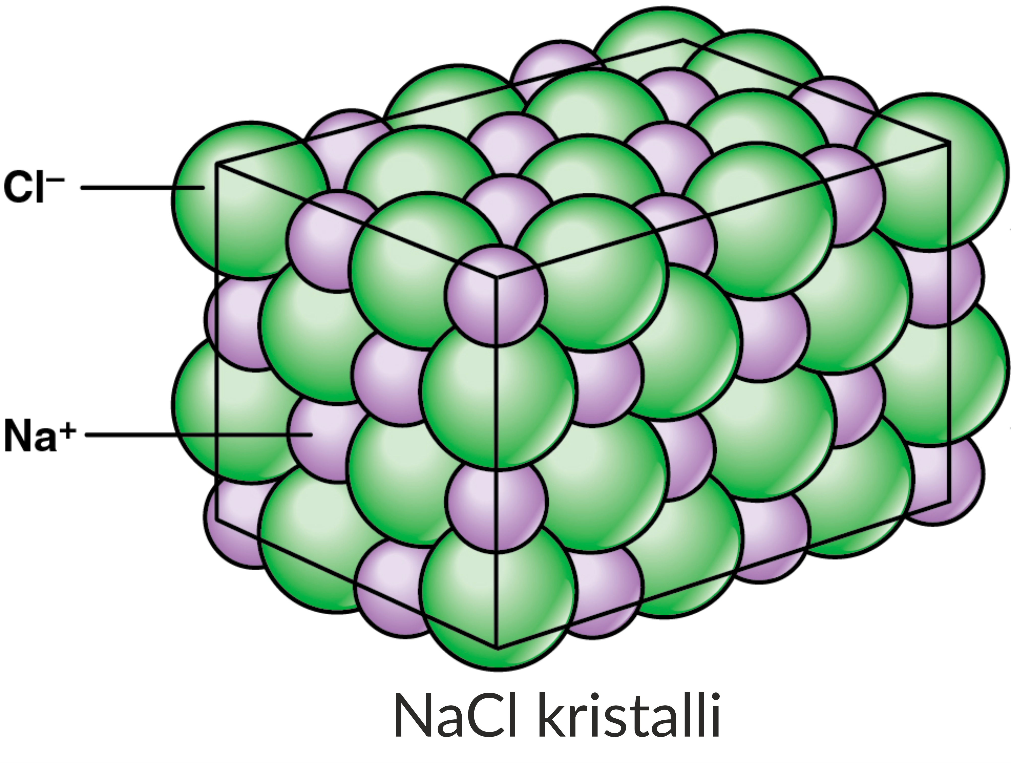 Uzun boyli jojalar onlayn Mazali eshak bilan porno videolarni tomosha qiling.