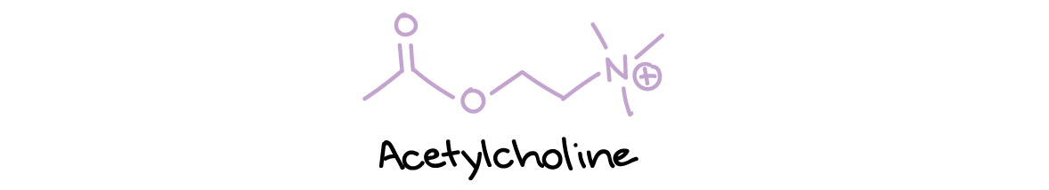 Acetylcholine structures.