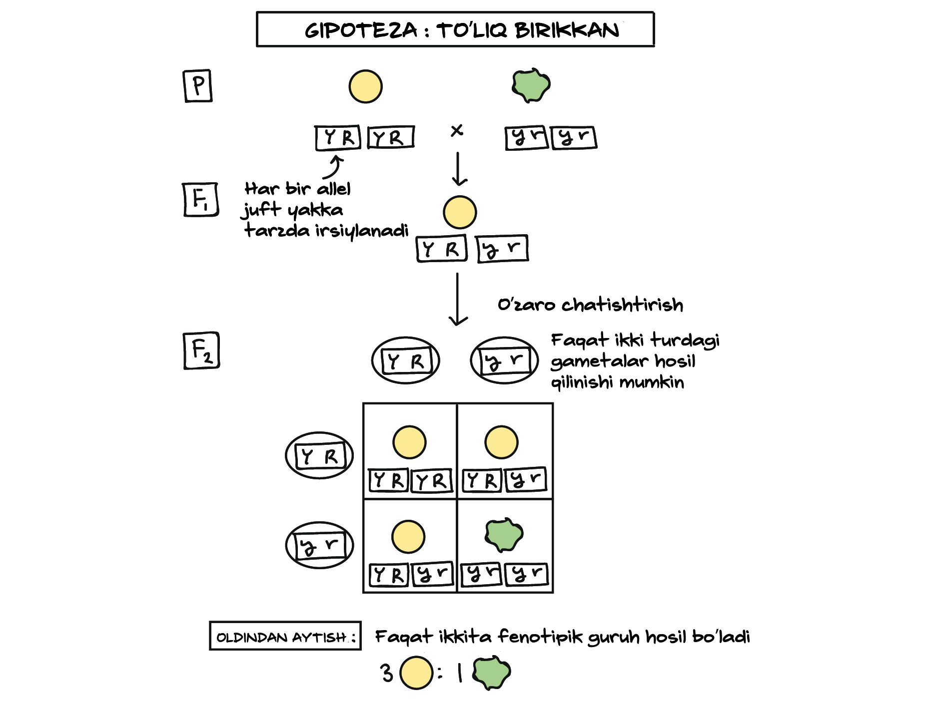 Oyoqlari keng tarqalgan porno surat