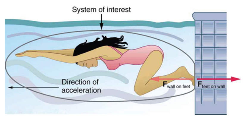 Why aren't gravity (weight) and normal force a action/reaction