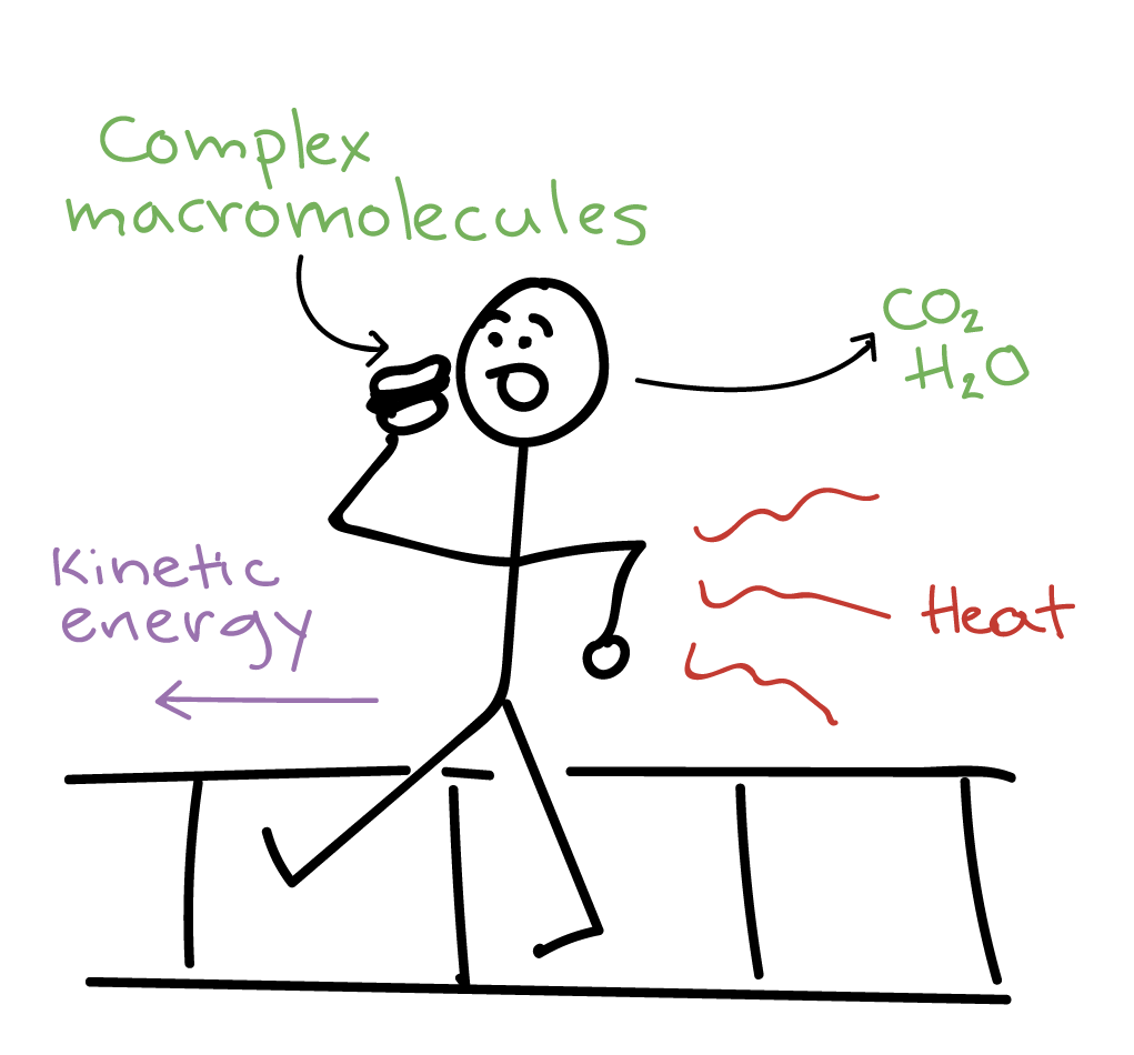 The laws of thermodynamics article Khan Academy