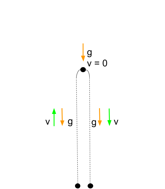 an object is ib free fall seems to be