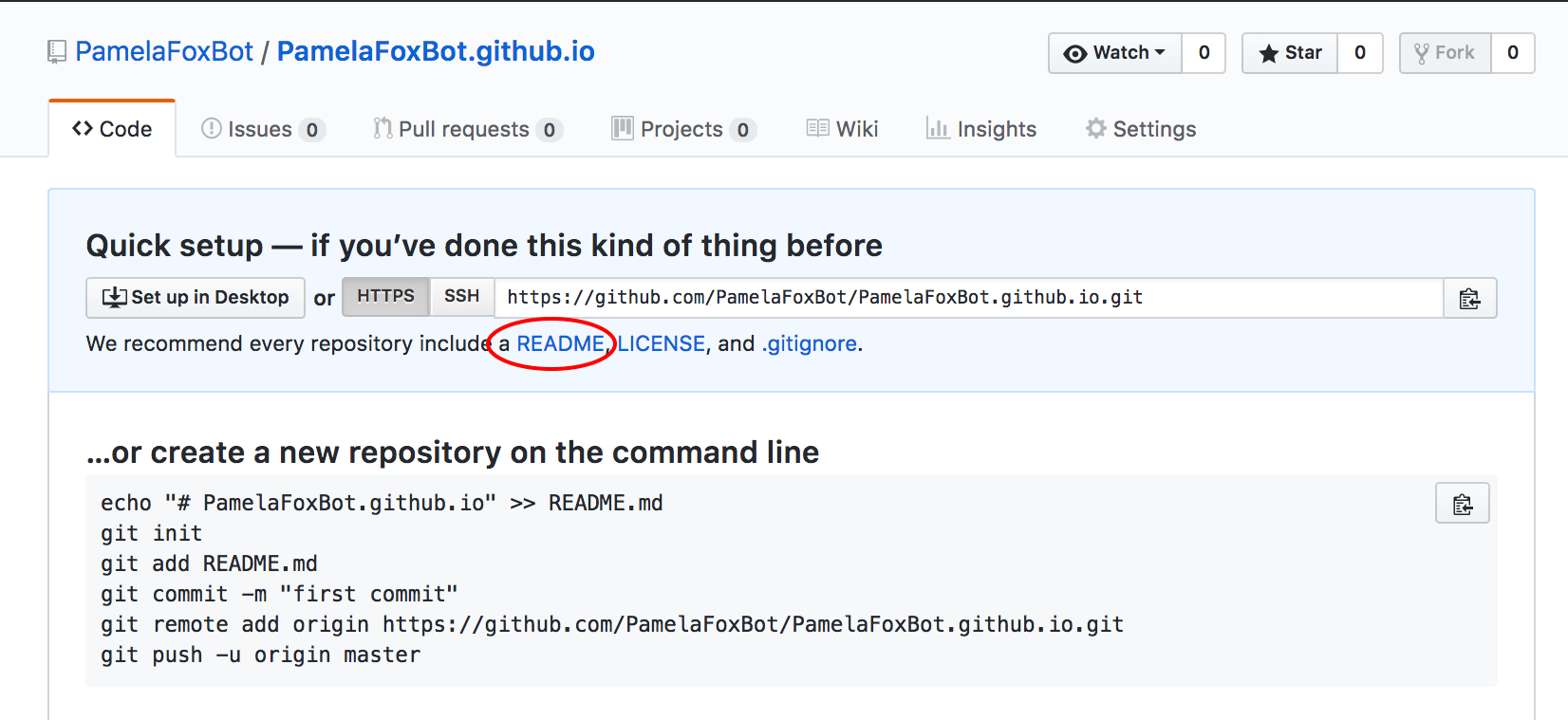 Screenshot of Github interface after making new project