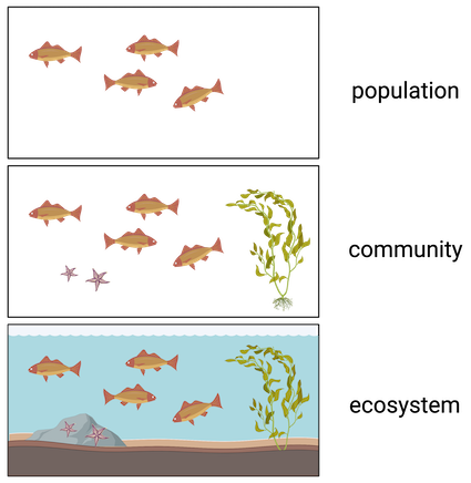 Population Biology