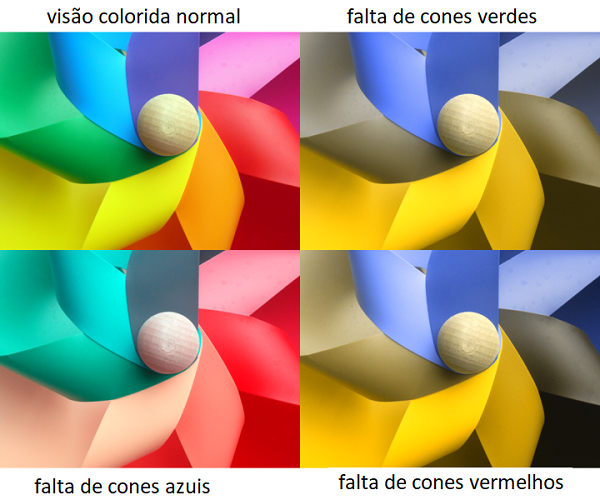 Física da cor: cor luz e cor pigmento