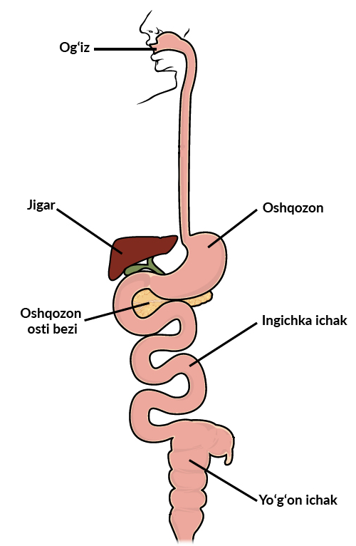 Onam, dadam, qizim, mast porno, jinsiy aloqa