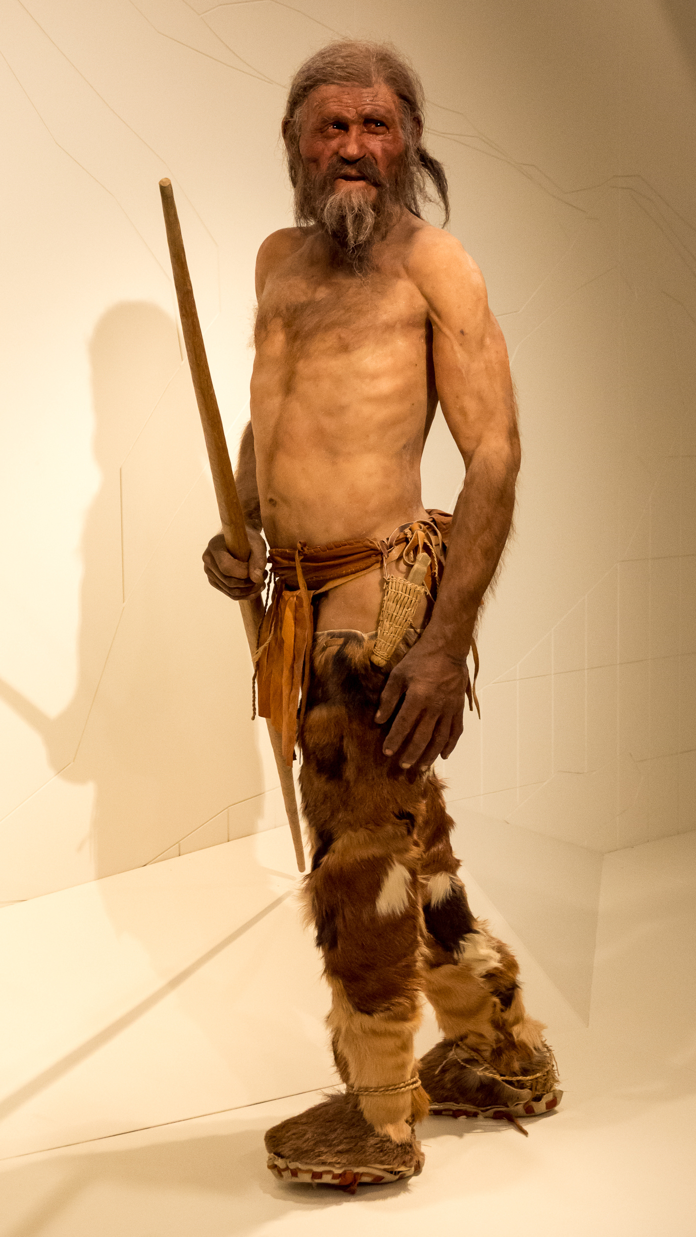 An image of a model of a pre-historic man. He is wearing garments made of fur and hide and carries a stick. He has significant facial hair.