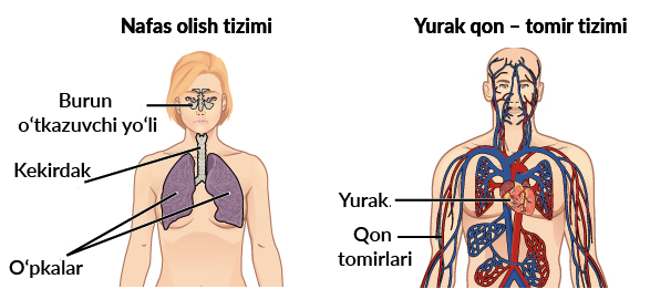 U soradi va yaxshi berdi