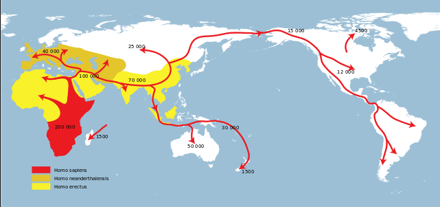 Map of the world showing the spread of _Homo sapiens_ throughout the Earth over time. _Homo sapiens_ are reflected with red arrows (shown populating the entire world over time), _Homo neanderthalensis_ is reflected in orange in what is Europe and the Middle East today, and _Homo erectus_ is represented in yellow in Africa, South Asia, and Southeast Asia. 