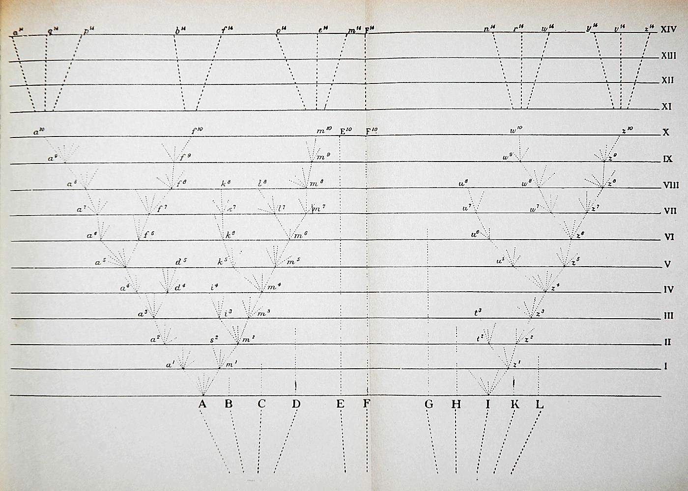 Darwin S Theory Of Evolution Chart Pearson