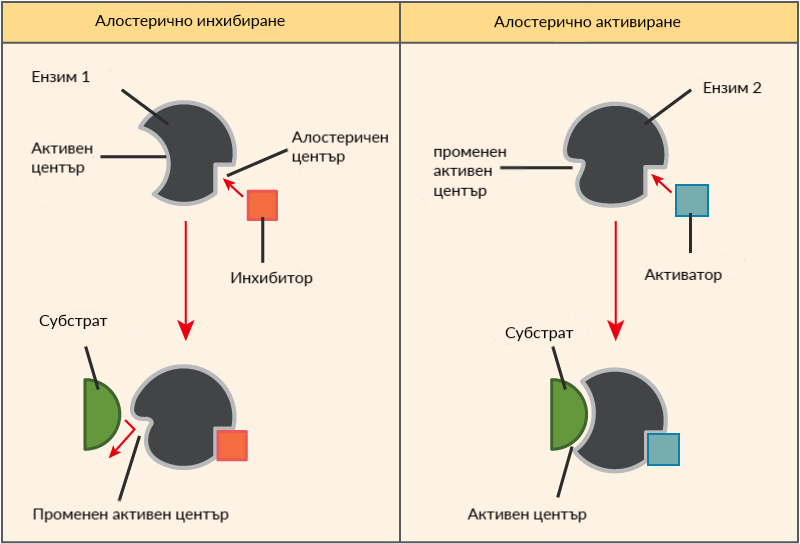 Шыбынмен оргазм алу