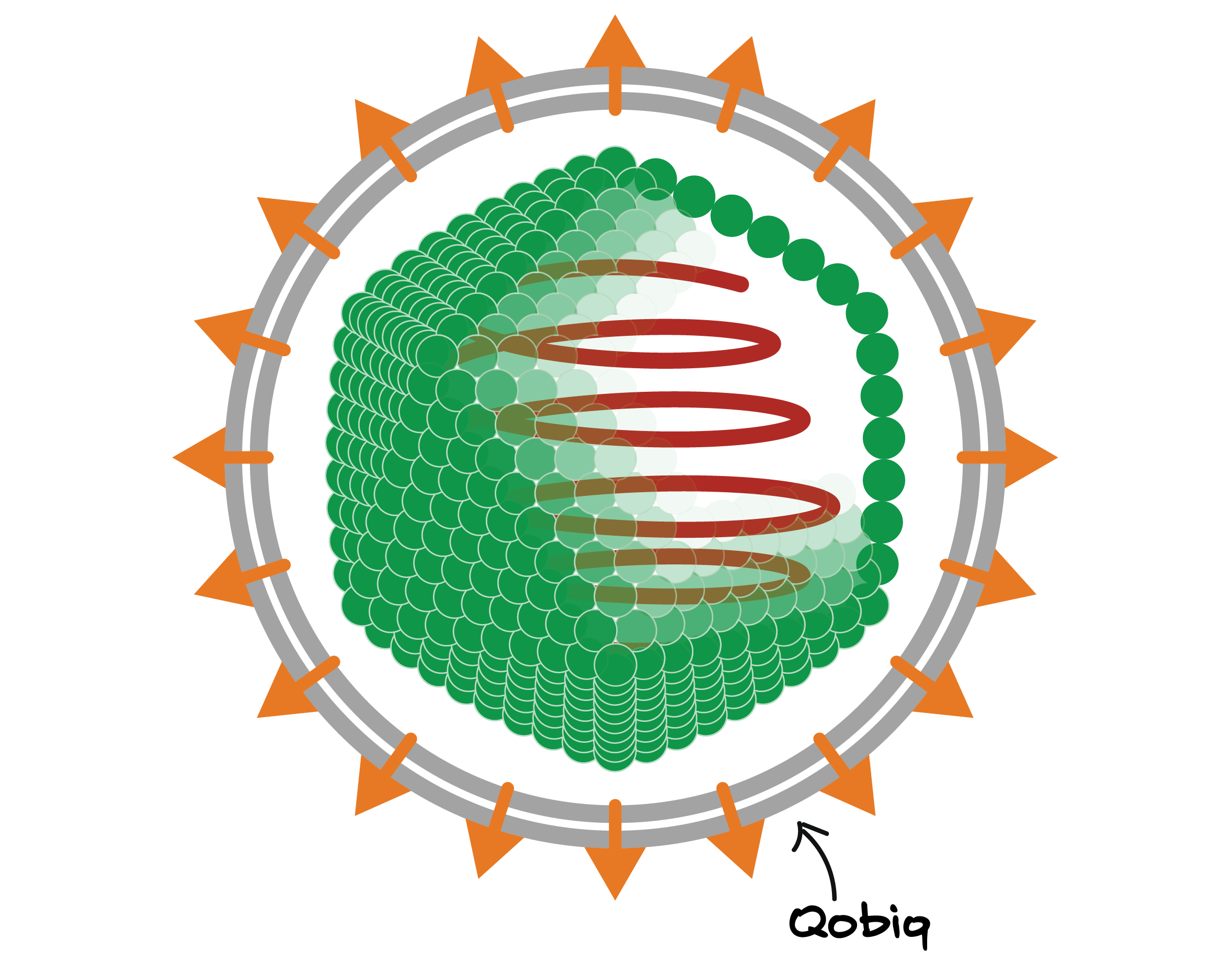 Bobolar lanet yoshlar video