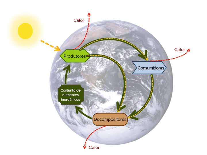 Aula 6 - Ações mitigatórias da interferência humana nos ciclos  biogeoquímicos - Biologia