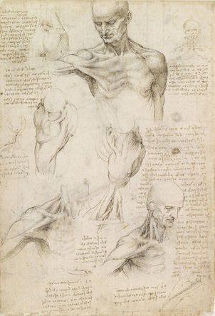 Leonardo da Vinci and the Science of Art – Canvas by New Masters Academy