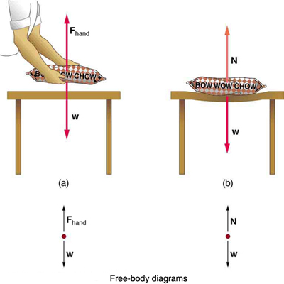 force physics