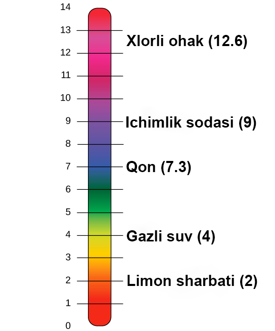 Porno toplamda farted