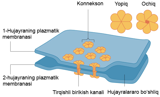 Jin buryat ayollari Porno rus ogli yuqori sifatli onasini sikadi