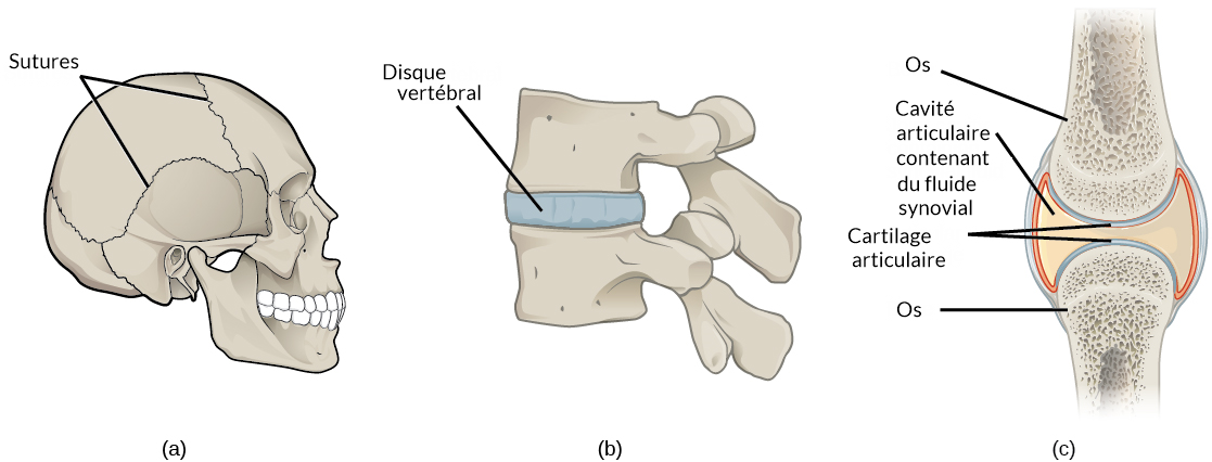 inflamația bursitei articulației cotului tratamentul chirurgical al artrozei piciorului