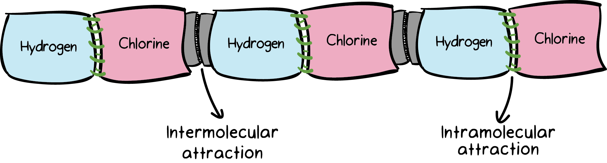 Figure of towels sewn and Velcroed representing bonds between hydrogen and chlorine atoms, illustrating intermolar and intramolar attractions