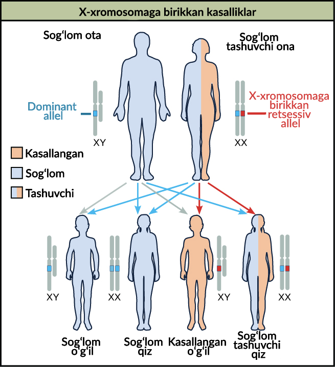 Ayollar va pantalon fetishistlari