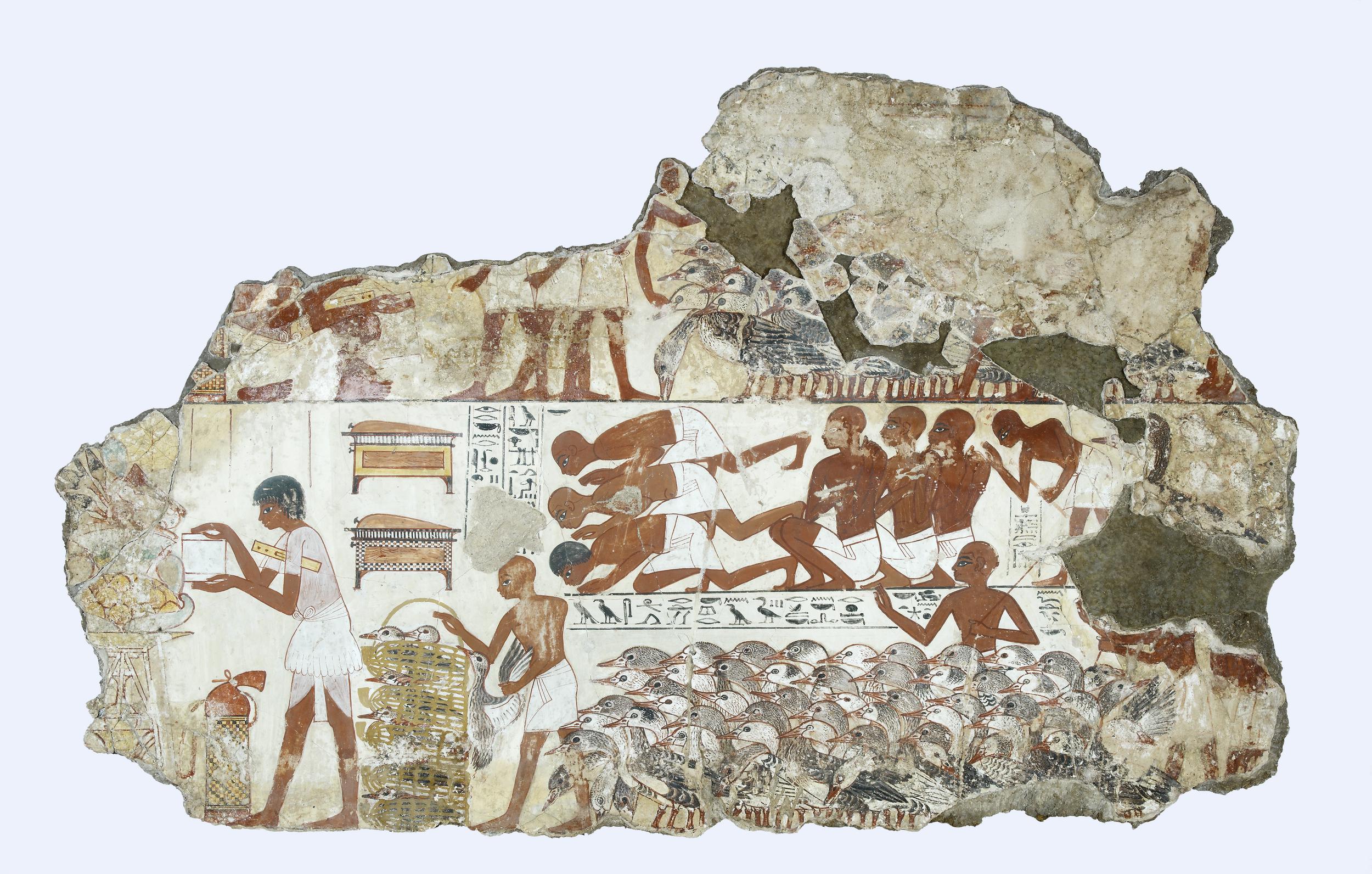 Paintings from the Tomb-chapel of Nebamun (article) | Khan Academy