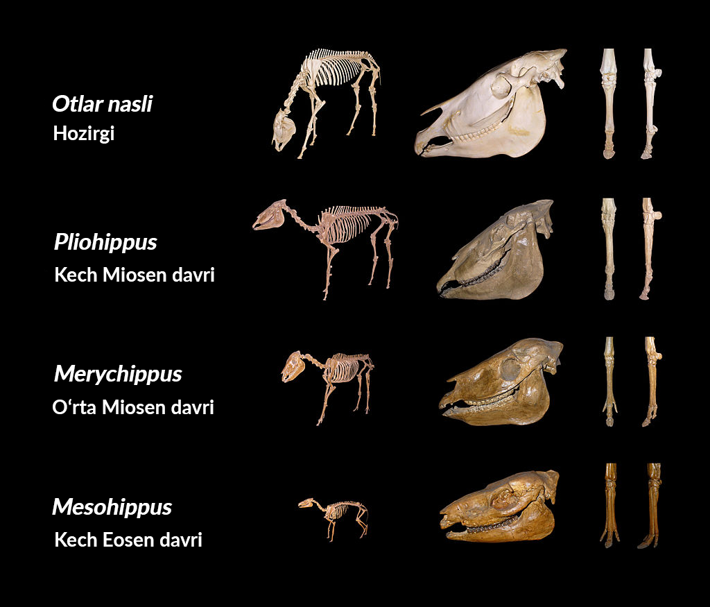 Yalangoch odamlar tamirlash ishlarini olib bormoqda