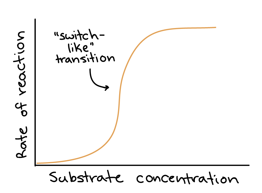 enzyme substrate concentration graph