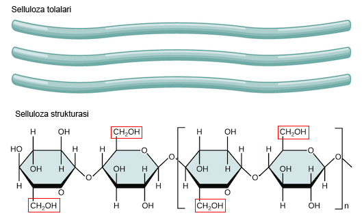 Ot bilan jinsiy aloqani tomosha qiling