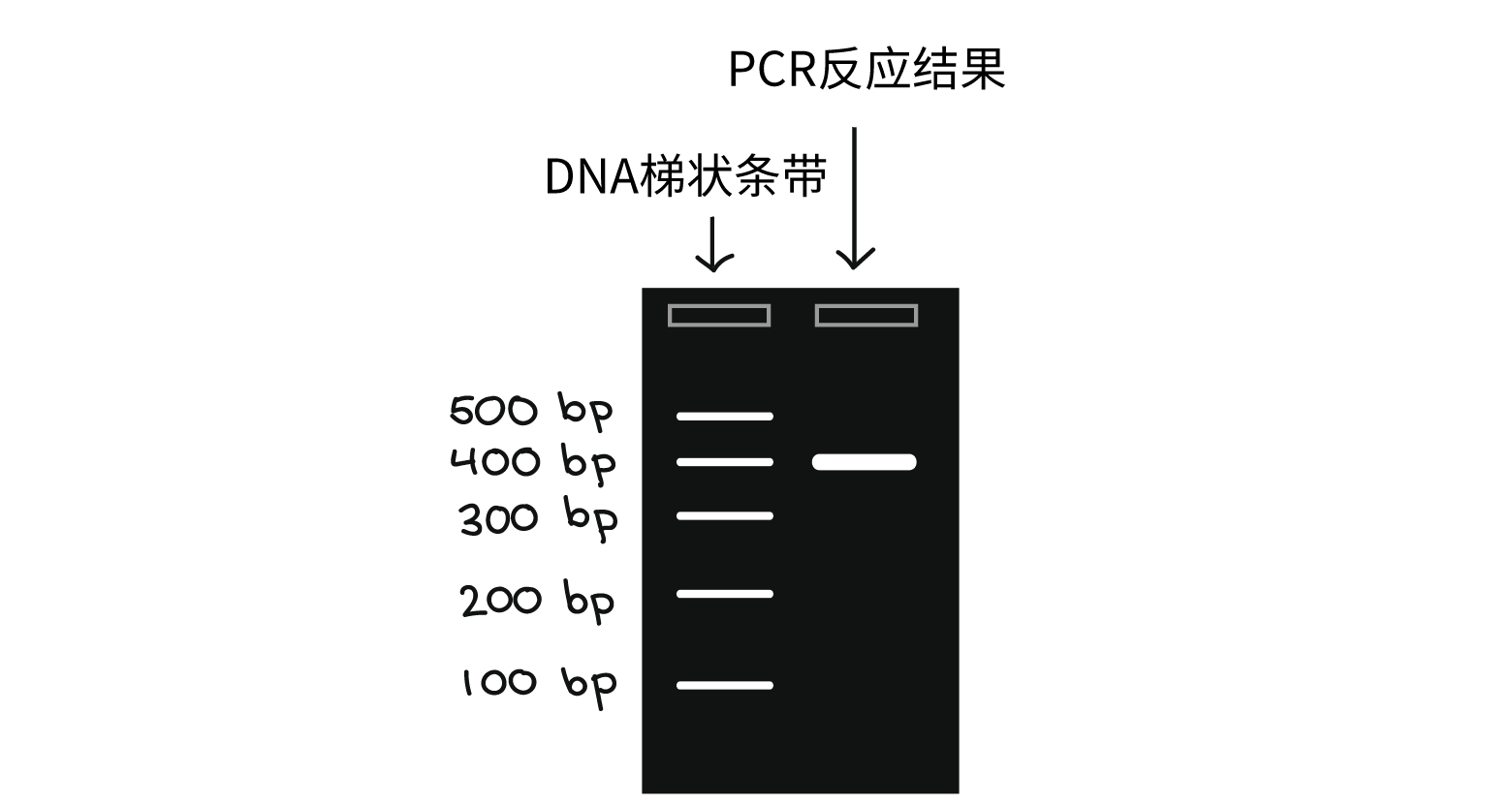 可汗学院