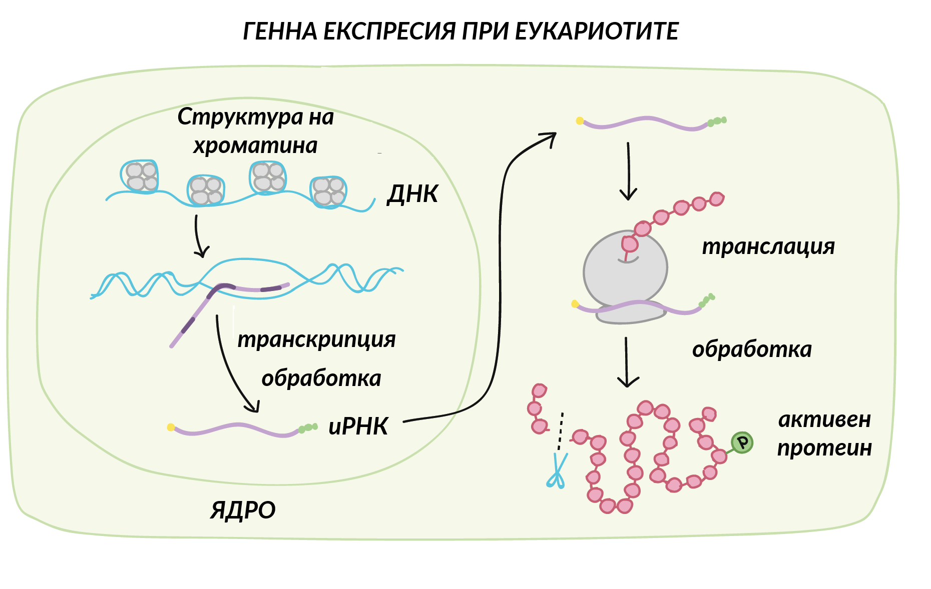 Егде жастағы әйелдердің секс порно видеолары