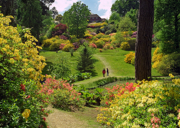 View of sheltered valley, Leonardslee Gardens, England  (photo: ukgardenphotos, CC BY-NC-ND 2.0)