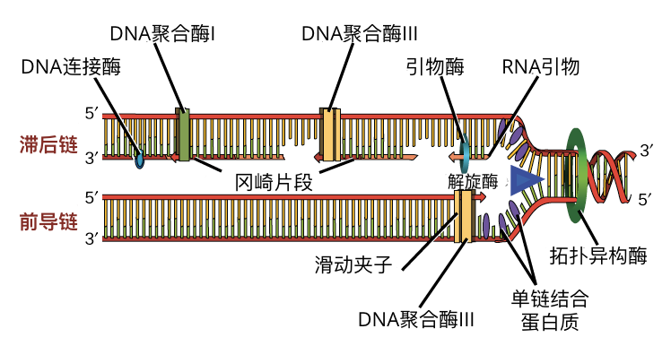 可汗学院